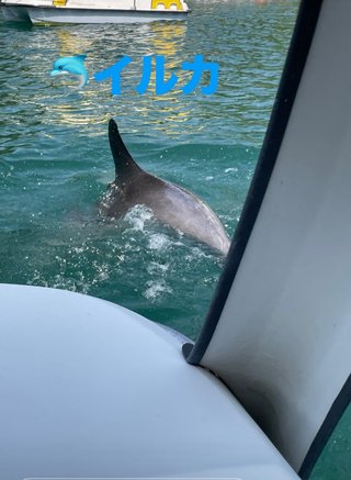 桜井奈々さんって