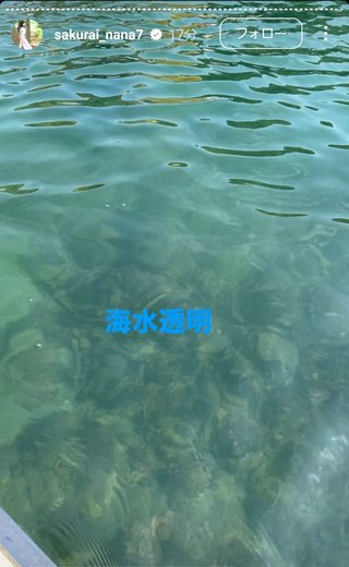 桜井奈々さんって