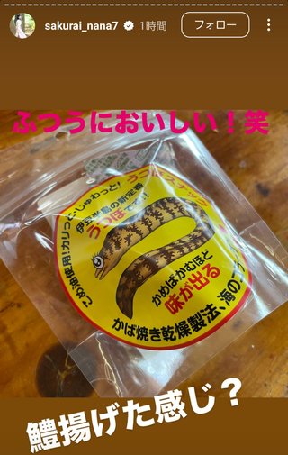 桜井奈々さんって