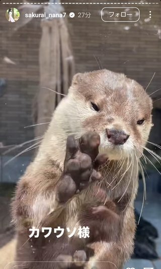 桜井奈々さんって