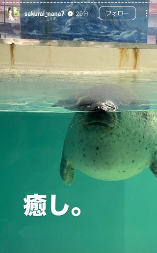 桜井奈々さんって