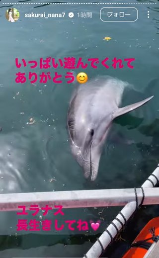 桜井奈々さんって