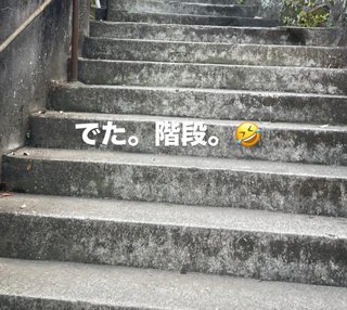 桜井奈々さんって