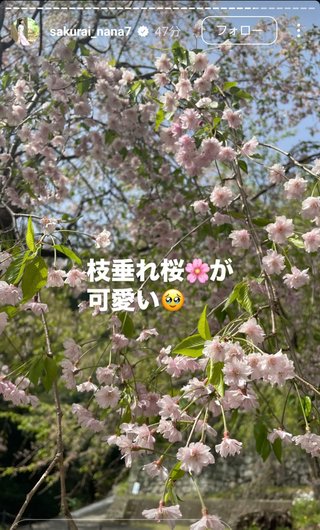 桜井奈々さんって