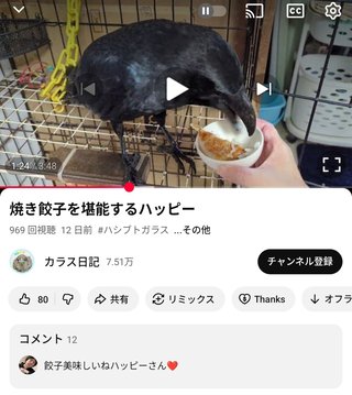 嫌いな女性YouTuber