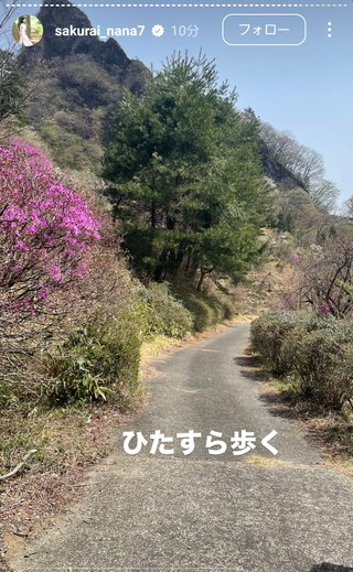 桜井奈々さんって