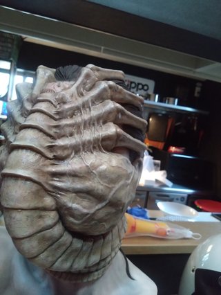 我が家は寒がりで、特に顔が寒い。一家皆でこの帽子かぶって