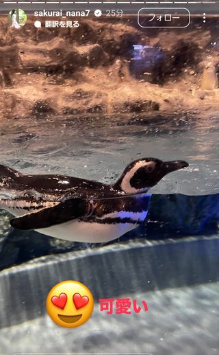 桜井奈々さんって