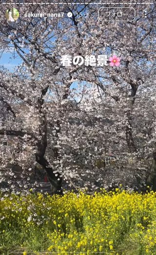 桜井奈々さんって