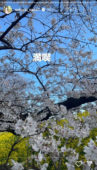 桜井奈々さんって