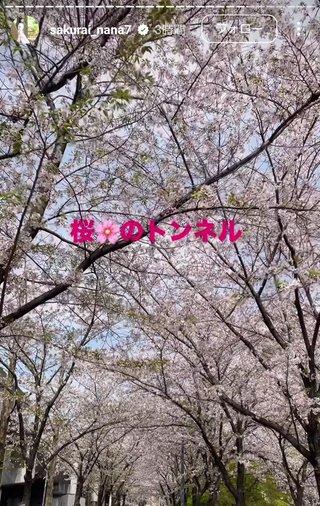 桜井奈々さんって