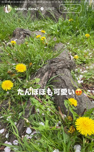 桜井奈々さんって