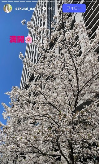 桜井奈々さんって