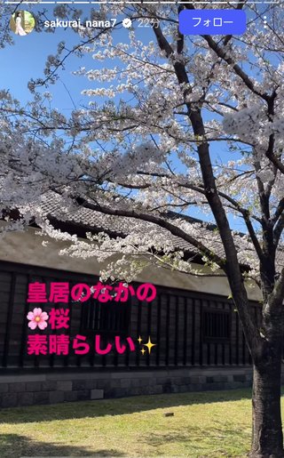 桜井奈々さんって