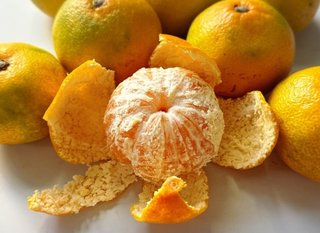 外村美姫「ぱんだのぶろぐ」～しまむらの達人～