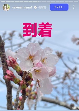 桜井奈々さんって