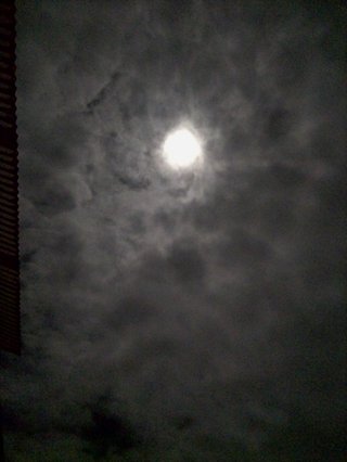 今日はスーパームーンなので