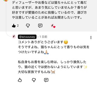 お洒落生活系YouTuberアンチ