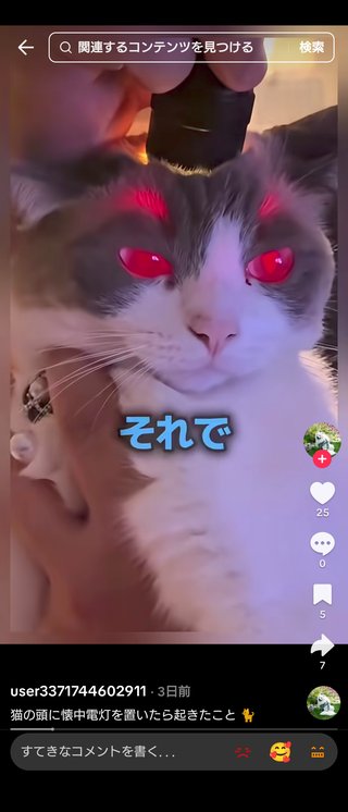 ネコ飼ってる人やってみて