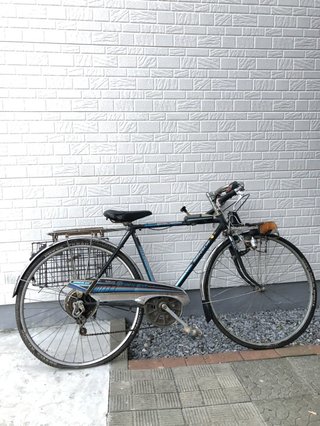 高校の娘の自転車これなんですがナウいですか？