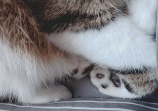 こんなの撮れたから見て