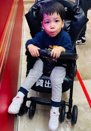 豆腐と節男と時々ズミ