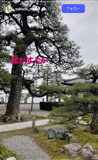 桜井奈々さんって