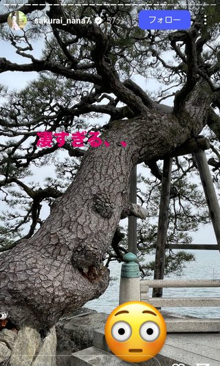 桜井奈々さんって