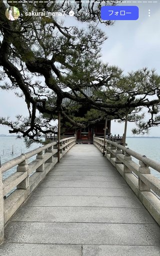 桜井奈々さんって