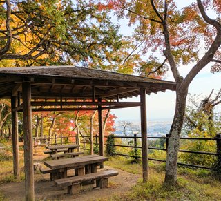 &#x{11:F8E2};なんでもいｰから&#x{11:F8E2};