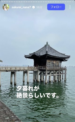 桜井奈々さんって