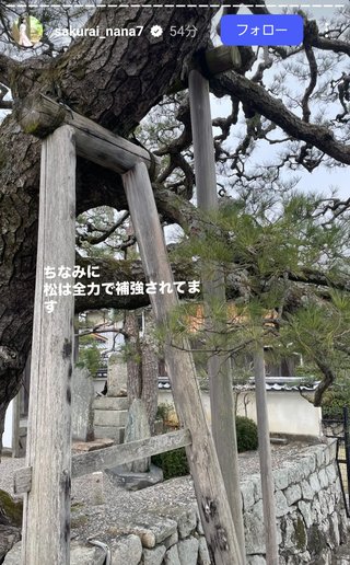 桜井奈々さんって