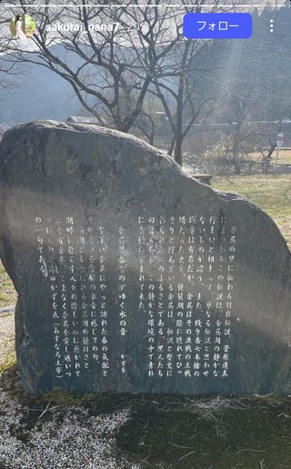 桜井奈々さんって