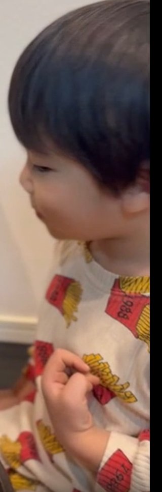 豆腐と節男と時々ズミ