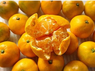 外村美姫「ぱんだのぶろぐ」～しまむらの達人～