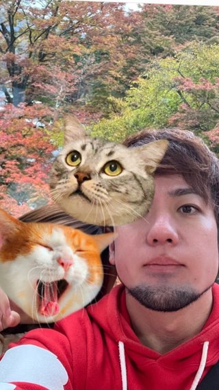 与儀だいすけ、ヨギボーのファンの集い