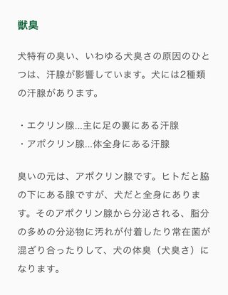 動物も可愛がれない残念な人