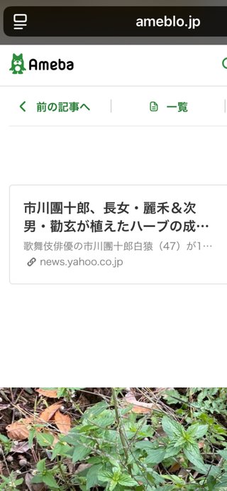 海老蔵､11歳の娘･麗禾ちゃんに“水だけ生活”　36時間ぶりの食事を報告「すごい意志!」
