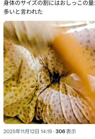 成人のおねしょ報告が散見される