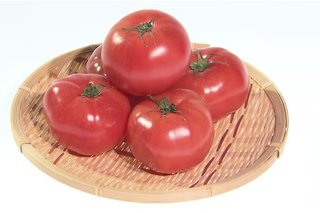 “トマトショック”がカレーも直撃　平均価格が2.4倍に上昇…主要産地･熊本県の記録的な大雨で