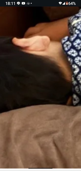 豆腐と節男と時々ズミ