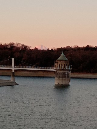 髪の毛を染めていますか？