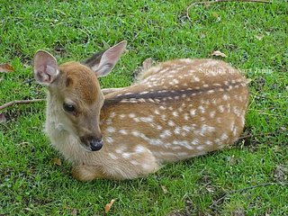 分かってるような分かってないような