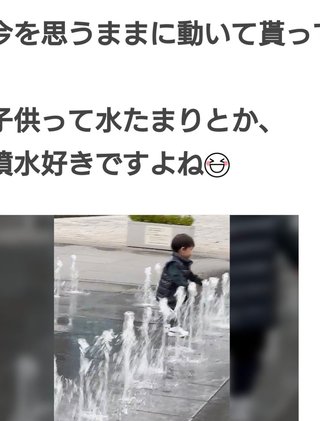 豆腐と節男と時々ズミ