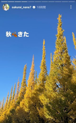 桜井奈々さんって