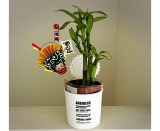 外村美姫「ぱんだのぶろぐ」～しまむらの達人～