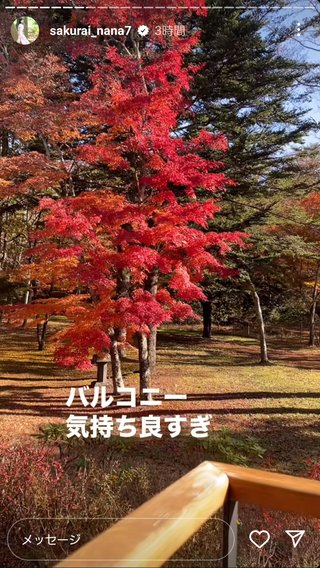 桜井奈々さんって