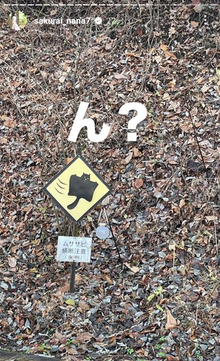 桜井奈々さんって