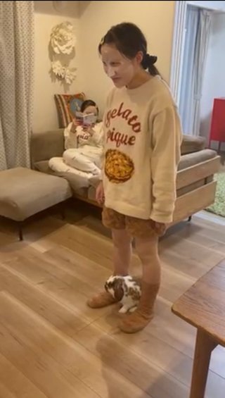 双子のりんかあんな