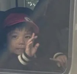 豆腐と節男と時々ズミ